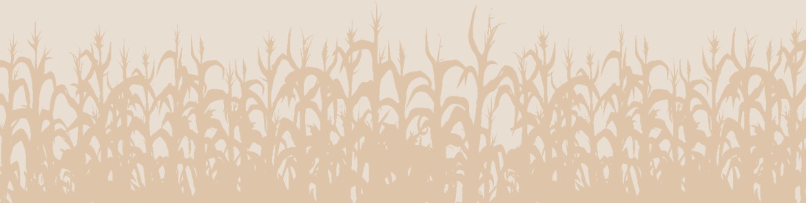 Lower Mount Bethel Township